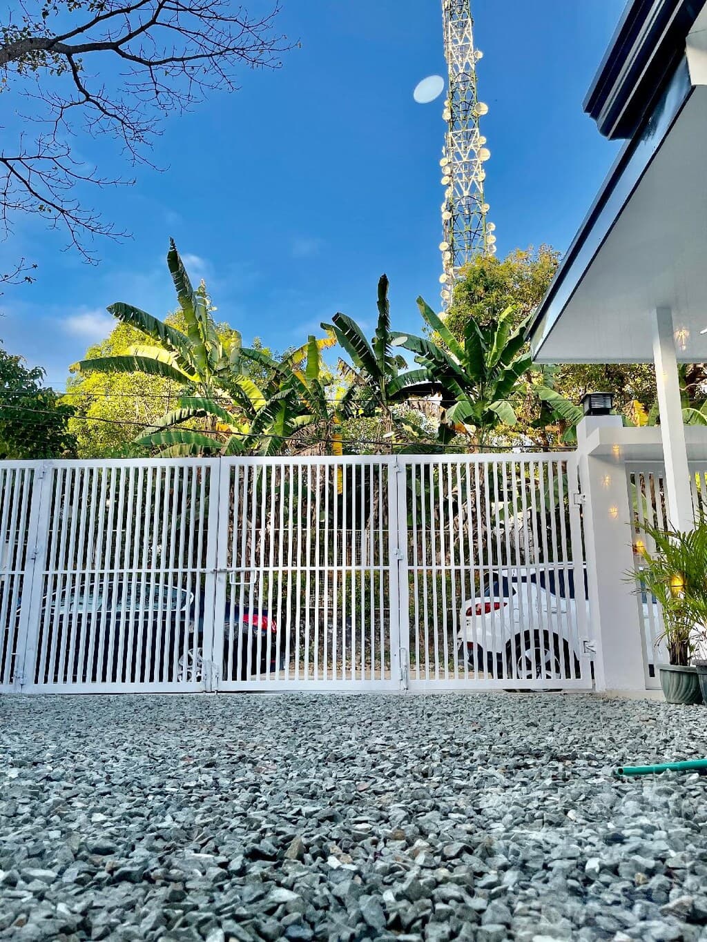 The gate and driveway, banana trees over the wall